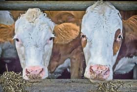Tipperary farm leaders Tim Cullinan and Pat McCormack have issued CAP review warnings