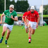 Drom & Inch captain David Butler pictured in action against Roscrea's Keith McMahon during their county senior hurling championship clash on Sunday evening. Picture: Eamonn McGee