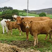Tipperary TD Jackie Cahill has called for end to two-tier beef pricing structure