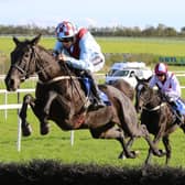 Limerick Racecourse goes Grade 1 for huge Christmas racing festival