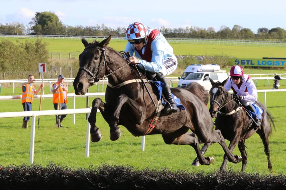Limerick Racecourse goes Grade 1 for huge Christmas racing festival