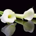 Tipperary Star Deaths