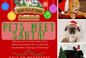 Pets meet Santa