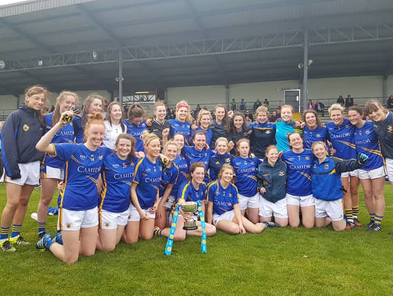 The Tipperary team pictured celebrating in Birr on Sunday afternoon.
