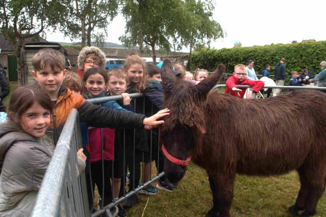 This group of students enjoyed the traditional mini farm in Clonmel