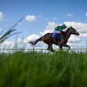 Great progress is being made on the provision of an all-weather track at Tipperary Racecourse