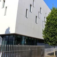 Jury hears from relatives of Tipperary grandmother found dead at her home