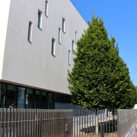 The trial is taking place at the Central Criminal Court, sitting in Limerick