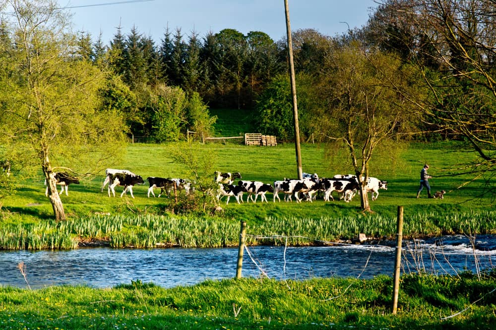 Farm payments include ACRES, TAMs, and CAP payments