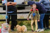Dog showing was just one of the attractions at Bansha Show
