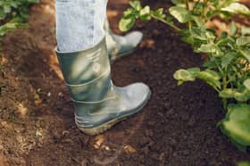 A farm walk is scheduled for later in September