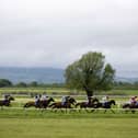 Nine fixtures are scheduled to take place to the end of 2027 at the redeveloped all-weather track in Tipperary