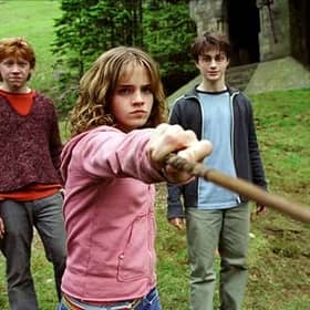 Find your inner Hermione at Nenagh library