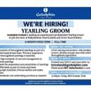 Applicants must be eligible to work in Ireland