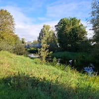 Outrage as local councillor says Tipperary river is 'practically dead'