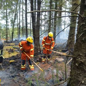 Fire fighters beating down the wildfire in forestry on Slievenamon