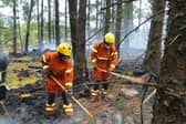 Fire fighters beating down the wildfire in forestry on Slievenamon