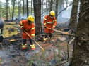 Fire fighters beating down the wildfire in forestry on Slievenamon