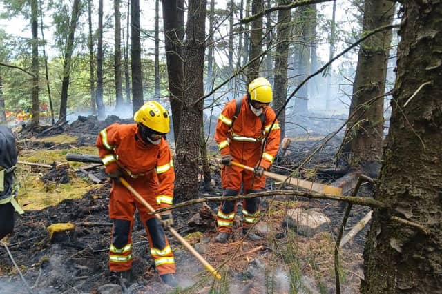 Fire fighters beating down the wildfire in forestry on Slievenamon