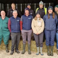 Giant Hogweed control studied on south Tipperary farm in national pilot