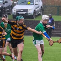 Butler's early goal proves decisive as Drom & Inch claim county U14B hurling crown