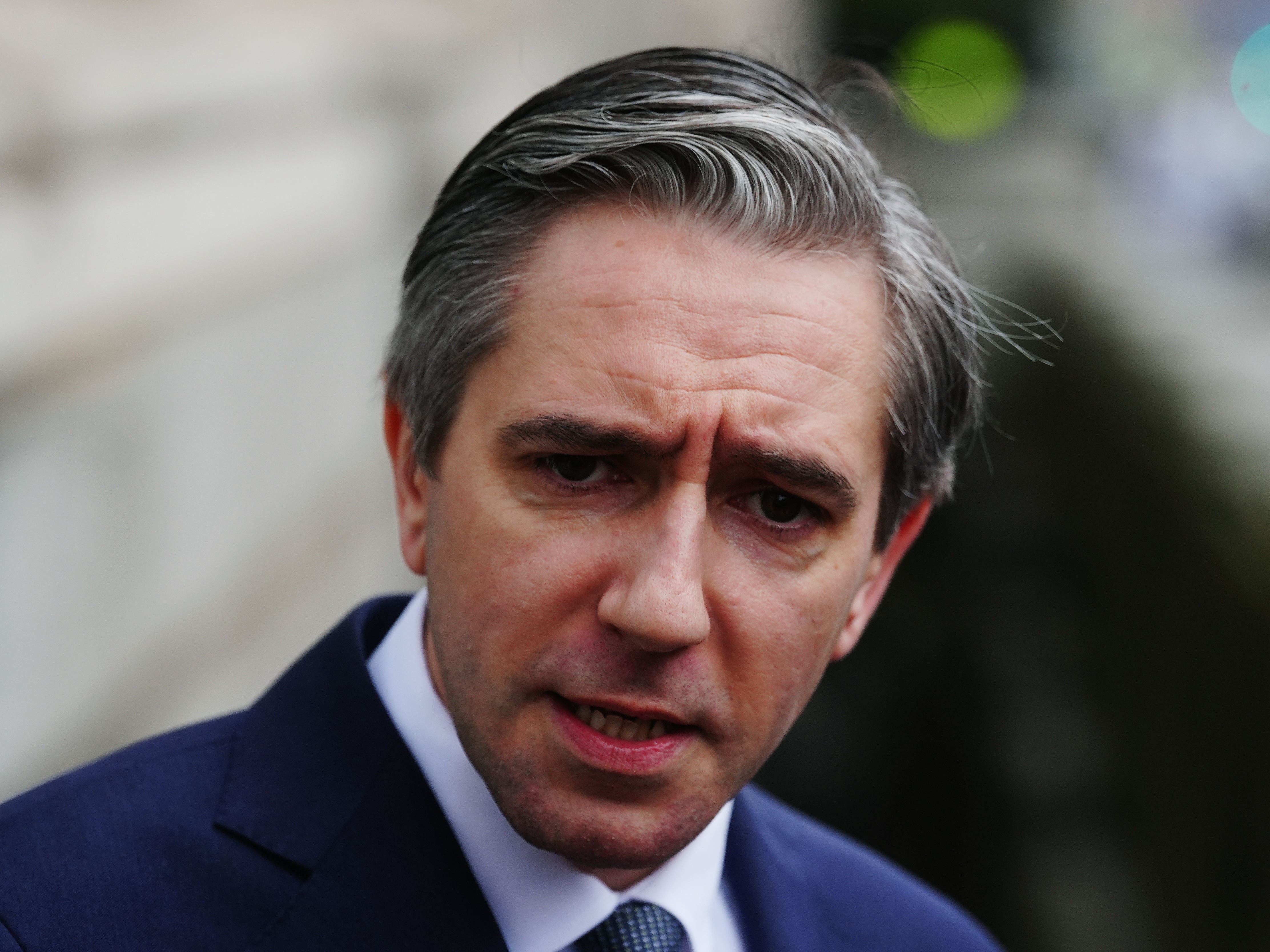 Ireland is capable and prepared to protect EU leaders at Dublin summits – Harris