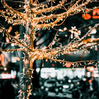 Street closure announced for Nenagh Christmas lights switch-on
