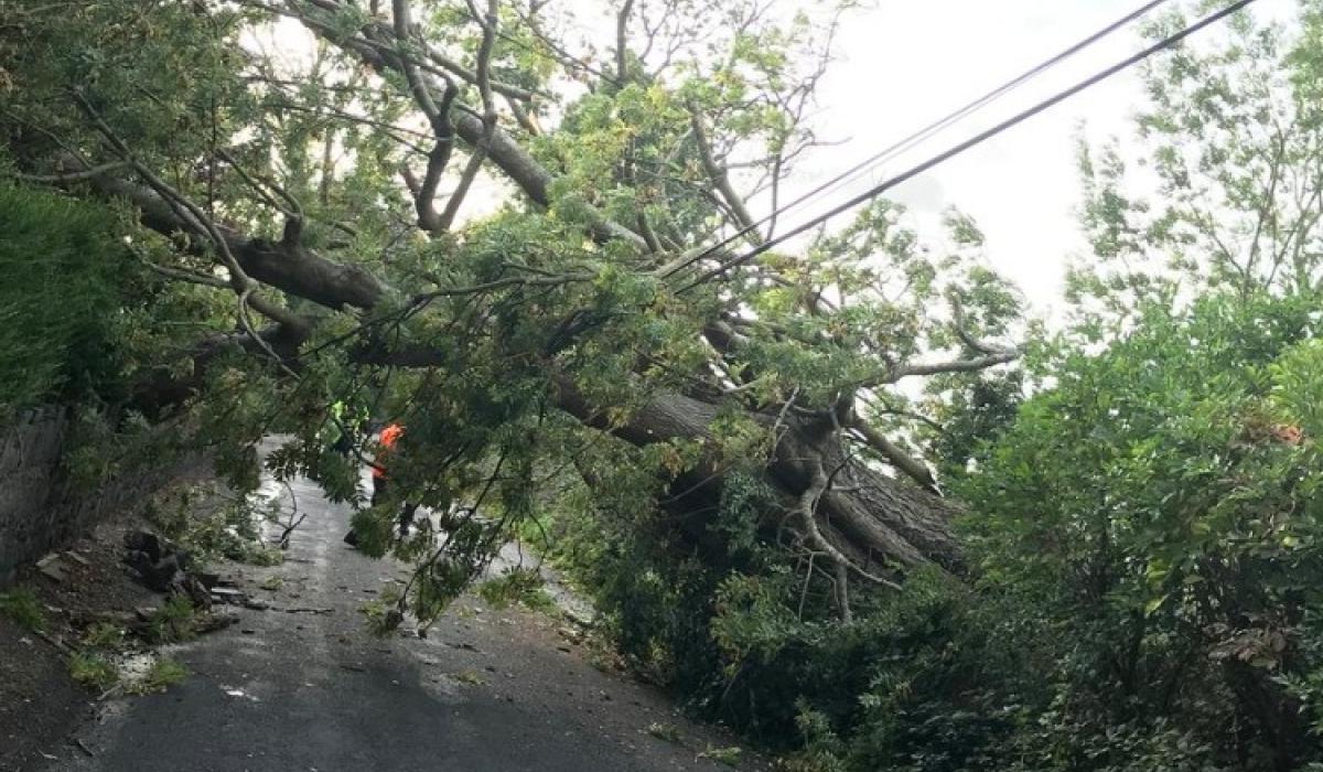 Hail, storms, dead trees, a huge risk for Tipperary drivers ...