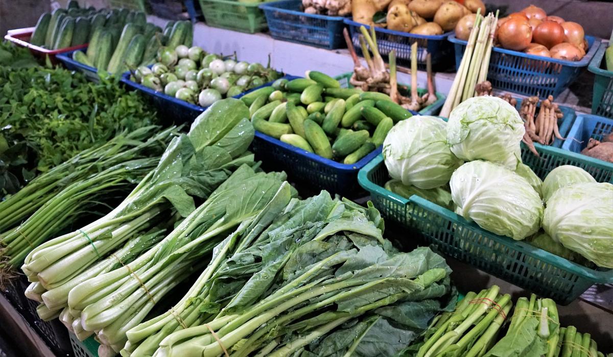 Take a step towards being more sustainable at a free workshop in Tipperary