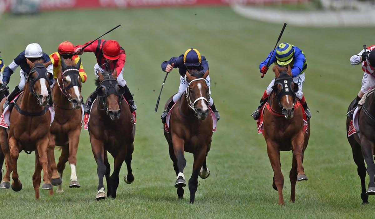 Cheltenham Festival Tips Tuesday's top picks Tipperary Live