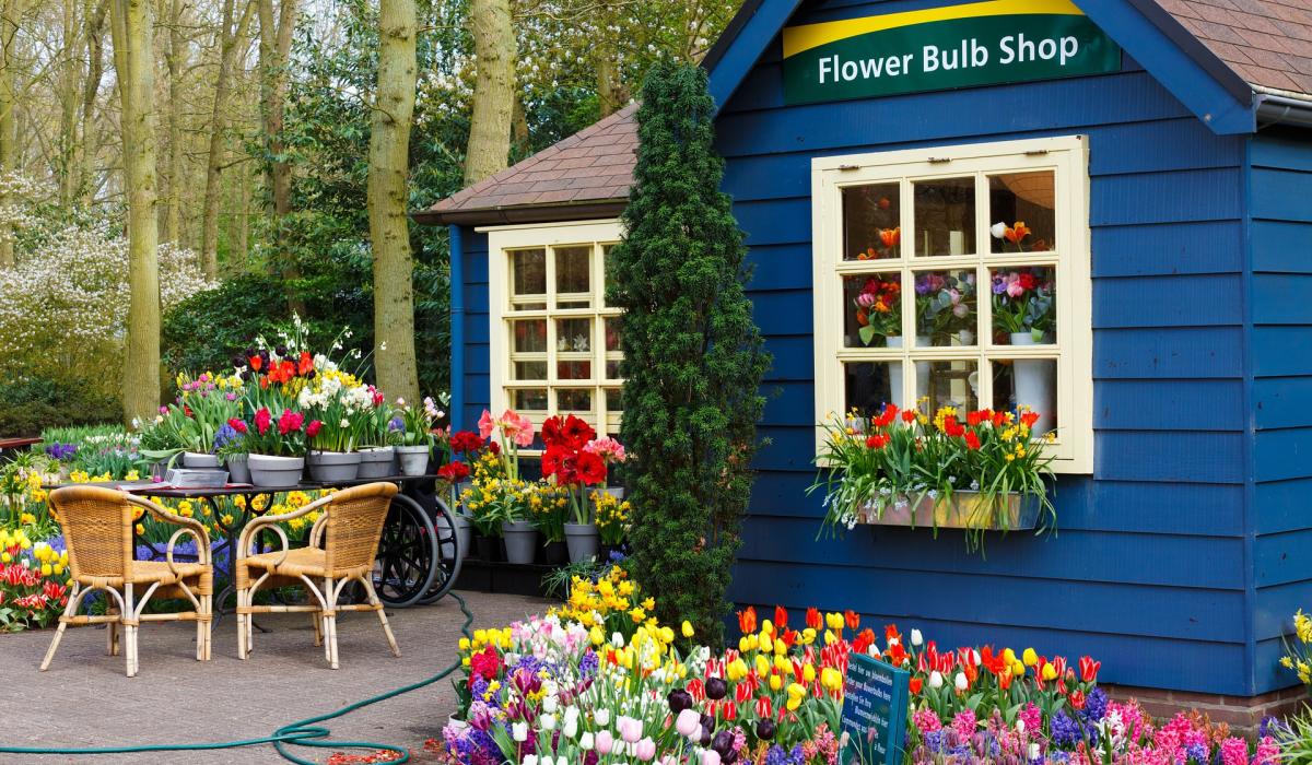 Gardening with James Vaughan Support your local garden centre Tipperary Live