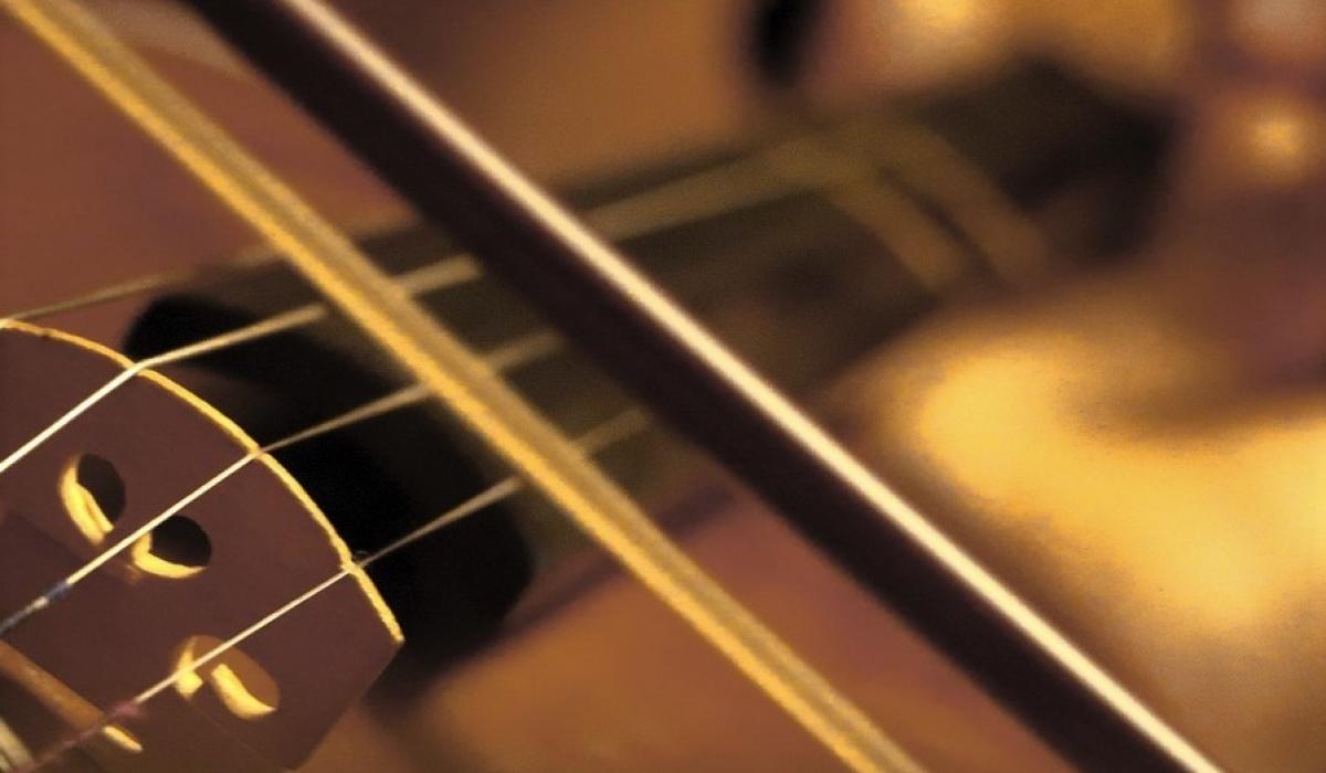 Quick return to music  and Irish language classes for Tipperary branch of Comhaltas