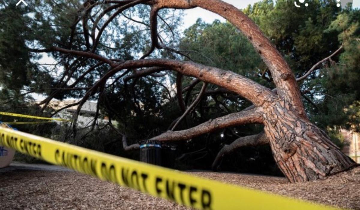 OPINION: Ireland needs to storm-proof its future to prepare for future storms