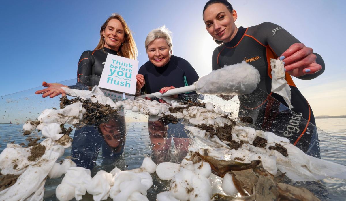 Increase of Irish adults using the toilet as a bin Tipperary Live