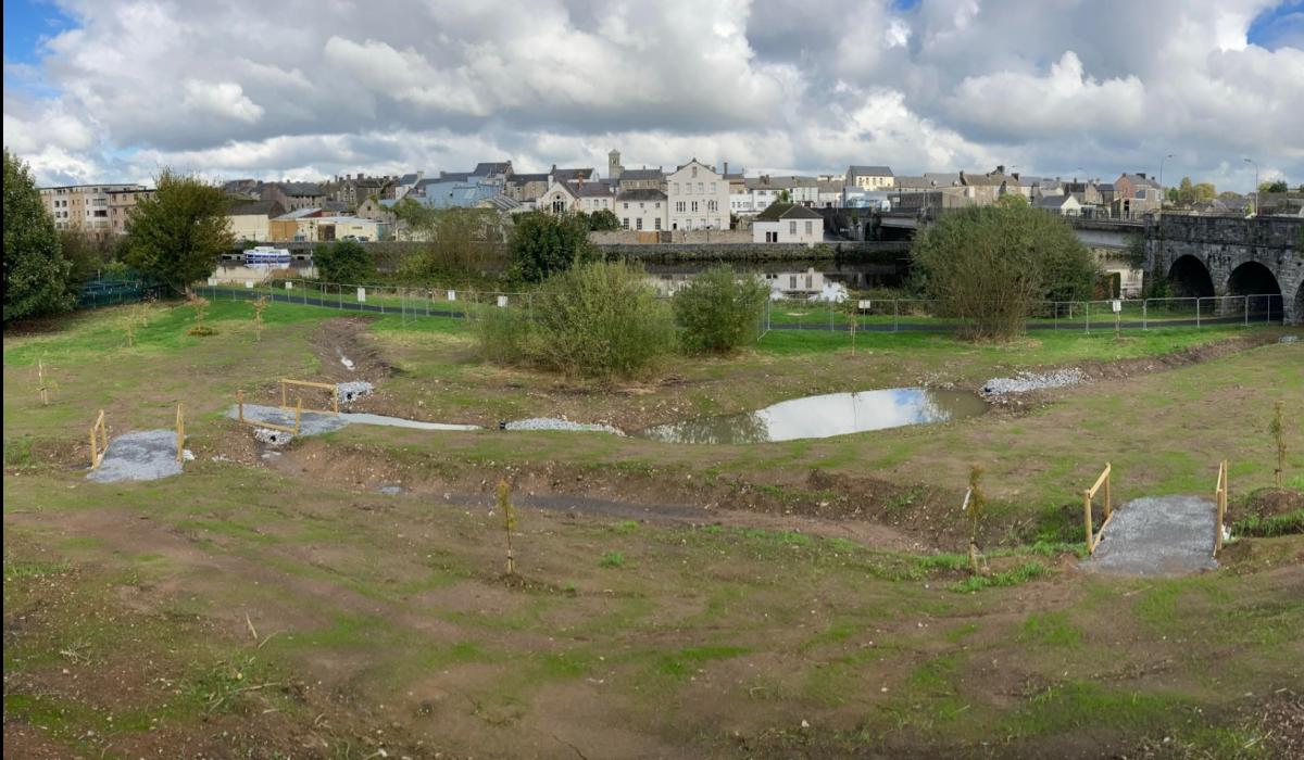 Two CarrickonSuir projects aim to reduce pollutants from run off