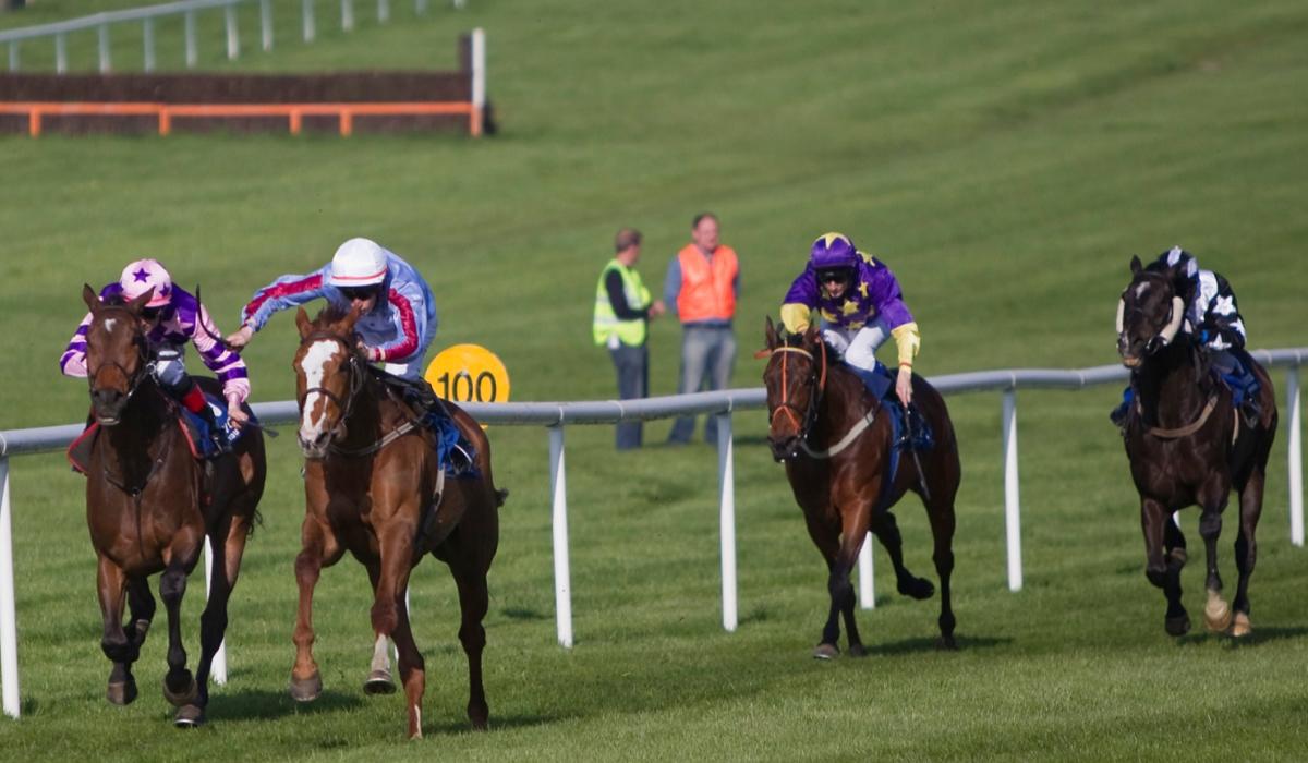 Novice hurdle is the feature race on the card at Clonmel Races ...