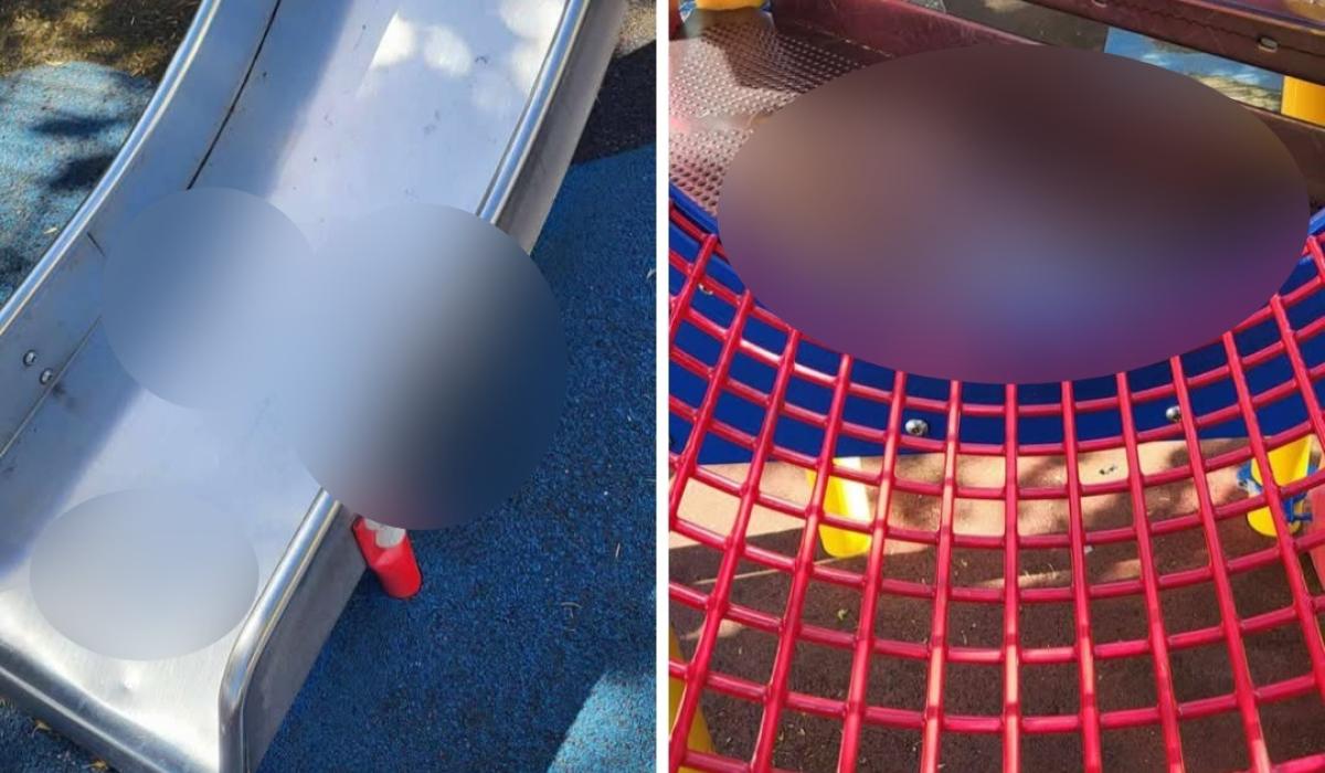 'That's not a child's poo,' social media uproar in Tipperary over