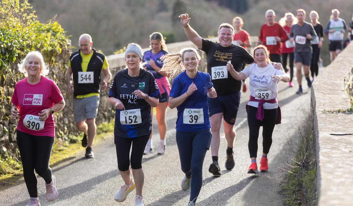 St Stephen's Day race in Tipperary is good opportunity to run off ...