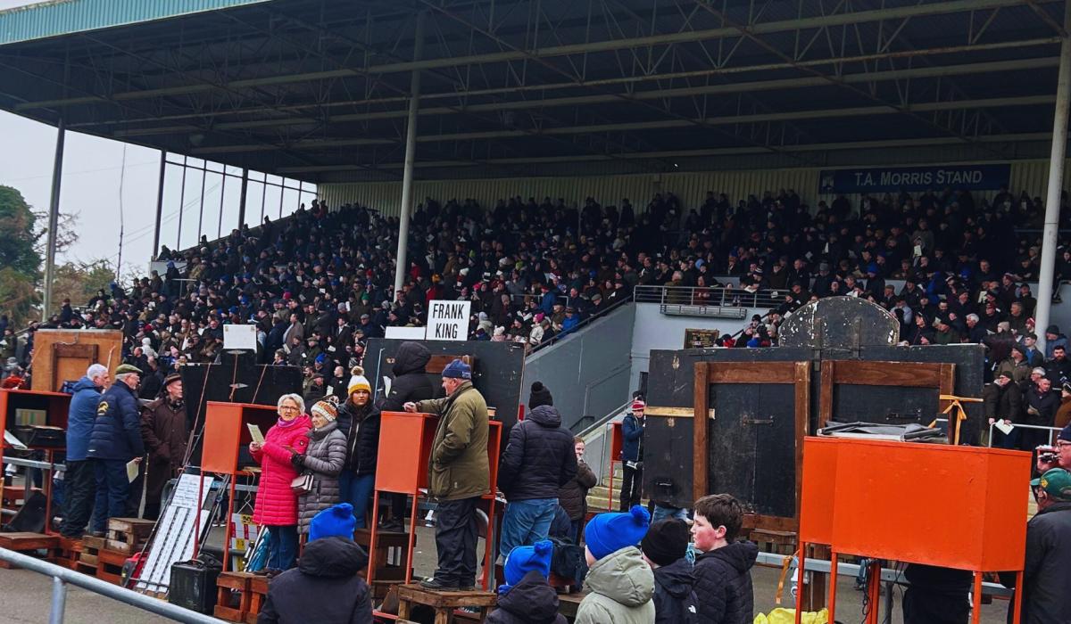 Landmark 100th National Coursing Meeting took place over February Bank Holiday