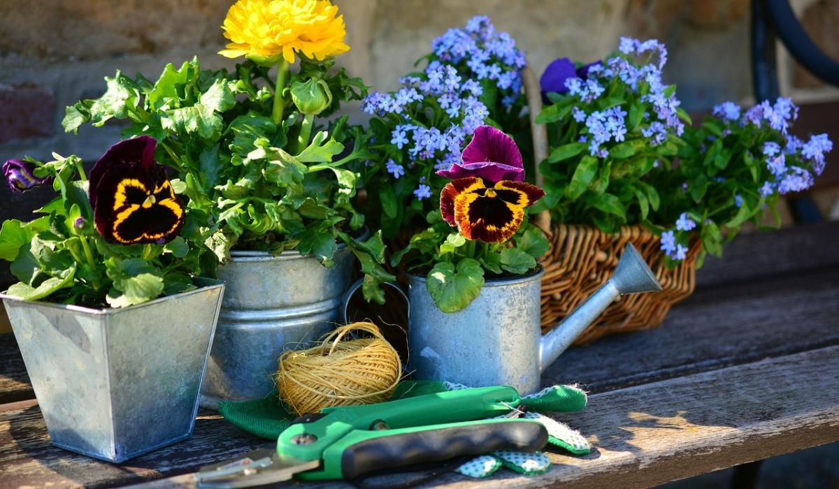 NEWS: Garden company send planning to County Council looking for major expansion