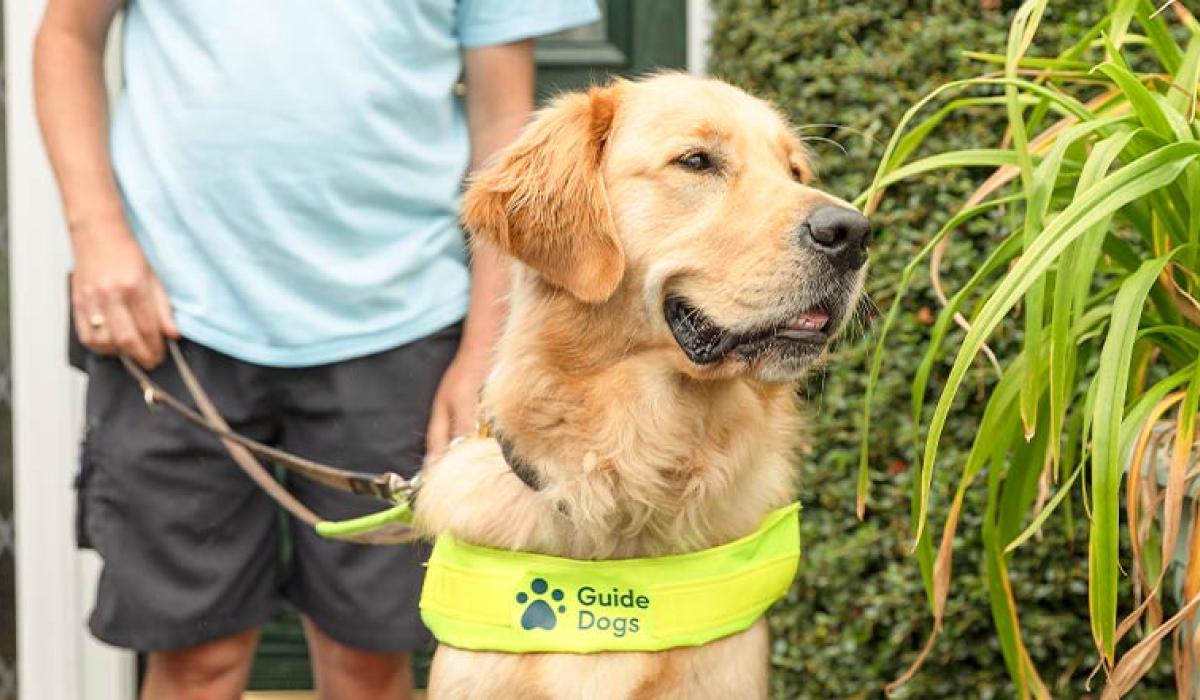 Irish Guide Dogs will reopen the waiting list for its Assistance Dog Programme