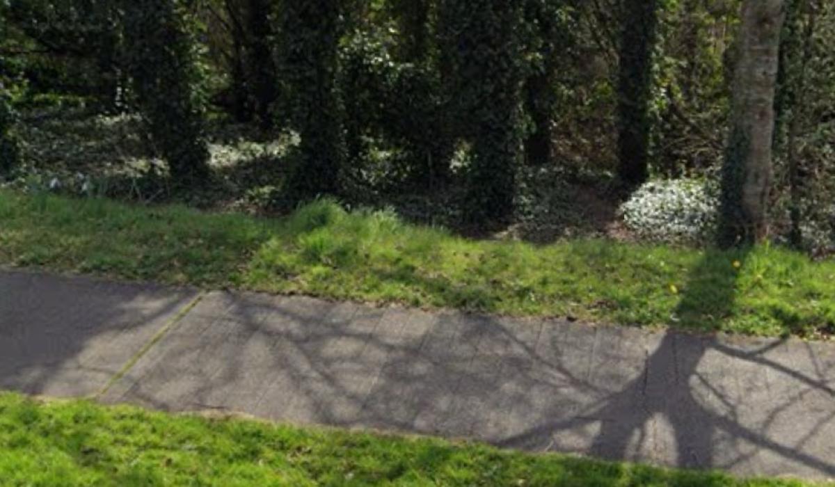 Gardaí hunt for creepy flasher who performed public sex act at popular Irish walking spot