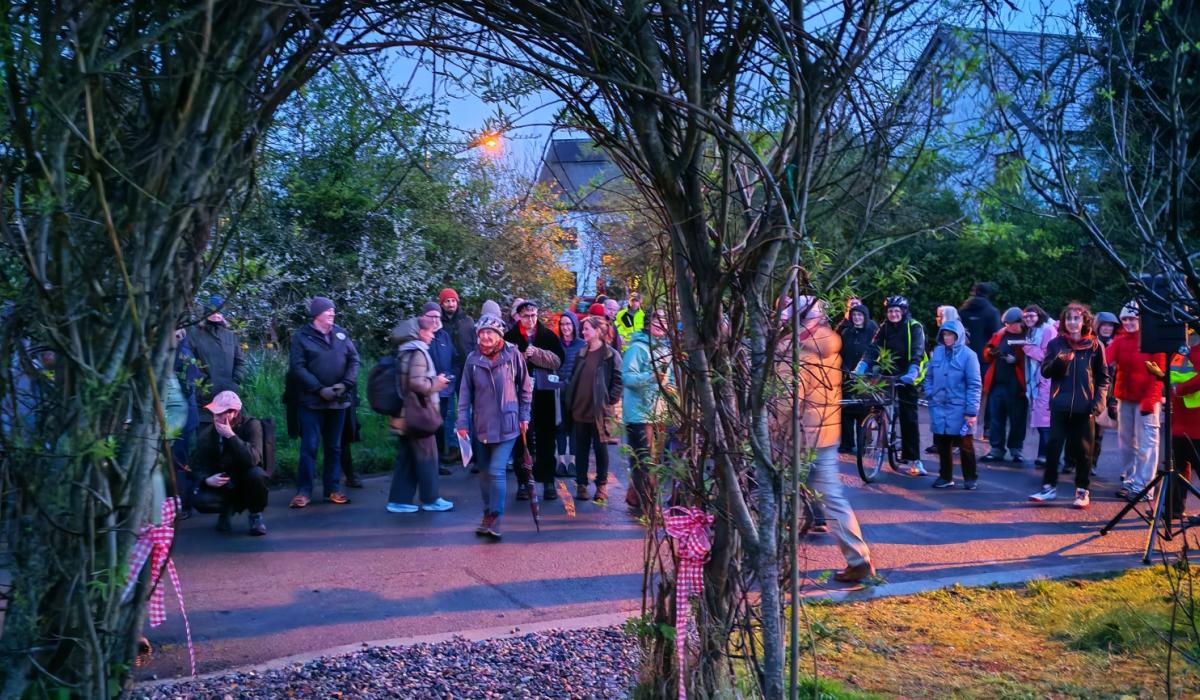 Tipperary ecovillage’s new 'dark sky lighting' sets Irish precedent in environmental welfare