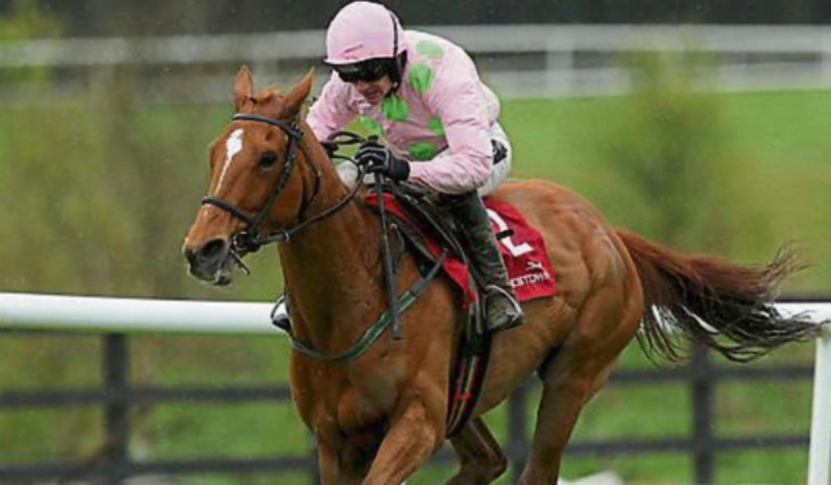 Cheltenham Festival Tips Wednesday's top picks Tipperary Live