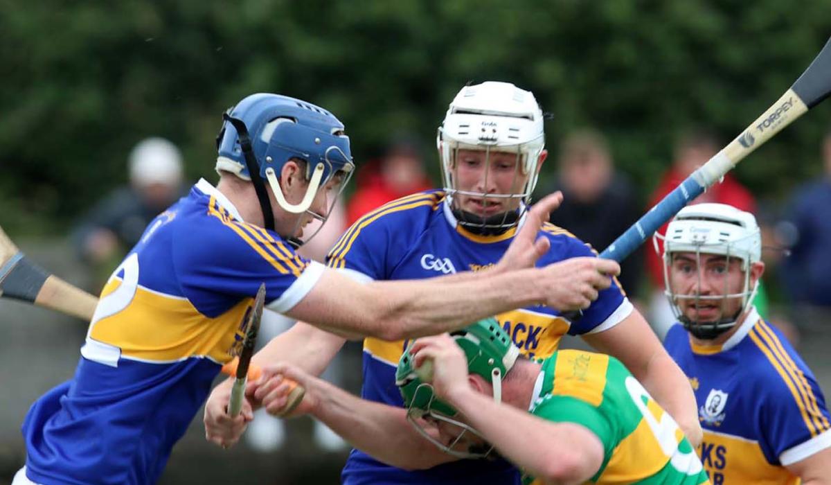 Team of the Week Premier Intermediate club hurling Round 1 Page 1