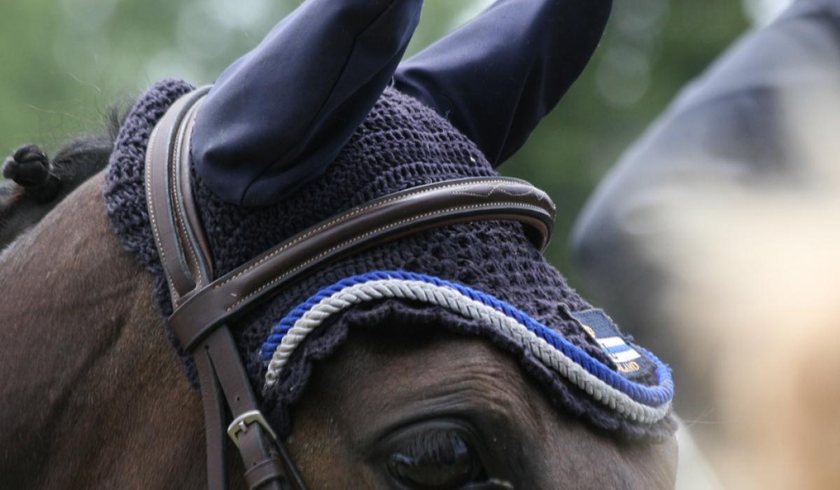 Tipperary showjumping team place second in equestrian schools