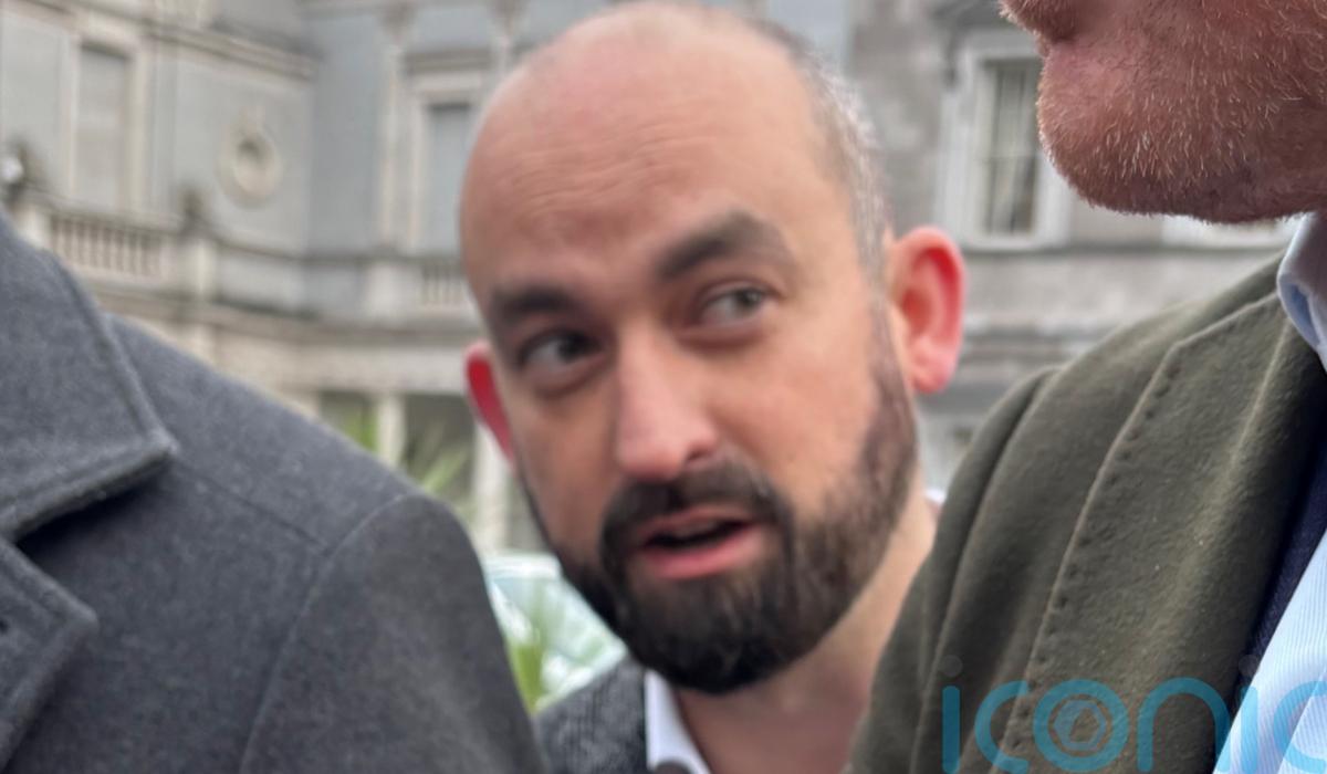Social Democrats appoint Hayes to spokesman role following controversy