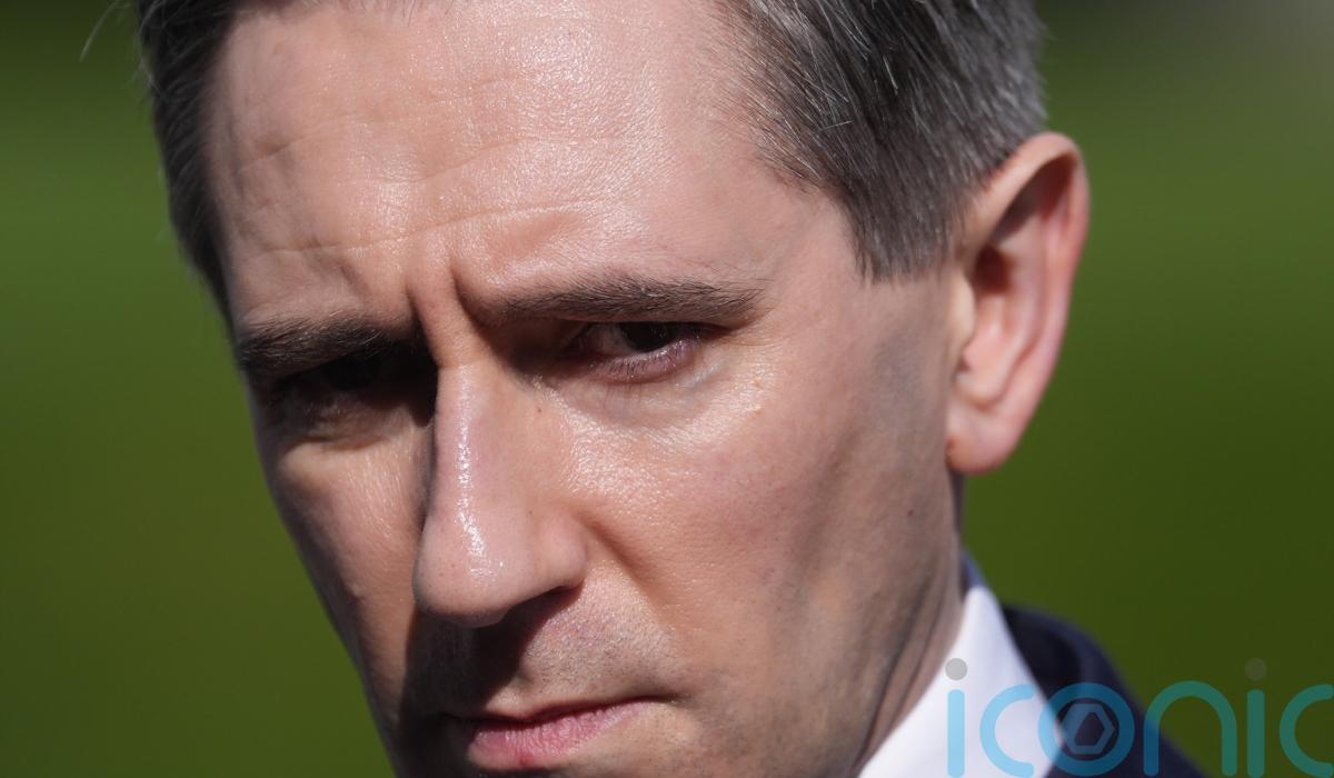 Digital wallet ‘next step’ for social media age verification, Tanaiste says