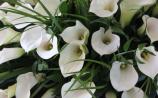 No change to the Catholic Church's teaching on cremation