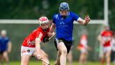 REVEALED: Venue confirmed for exciting all-Tipperary Harty Cup semi-final this Saturday